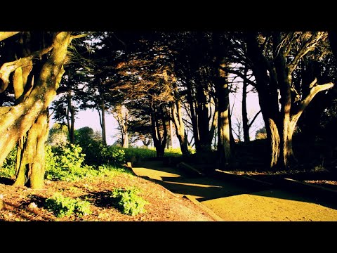 Lux Flux - My Funny Valentine