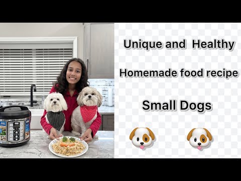 Healthy and Unique Homemade Food Recipe for Dogs