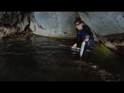 SE02EP87 Part 1 - NAGBABALIK ang NAGLALAKIHANG DALAG sa LAUREL BATANGAS
