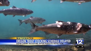 Oregon trout stocking schedule delayed