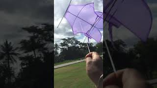 Download lagu #rareangon, Layang Bebean menari-nari mp3