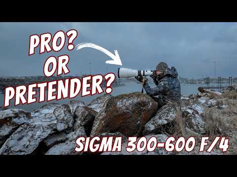 Sigma 300-600mm f/4 DG OS Field Tested | CAN IT REPLACE A PRIME?