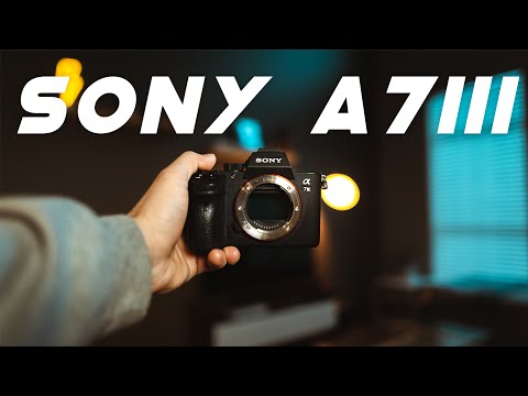 SONY A7III - An Honest Review