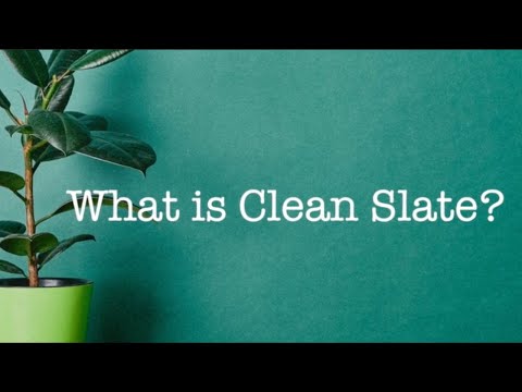 Dr. Christina Rahm Answers: What is Clean Slate? ~ Root USA Global