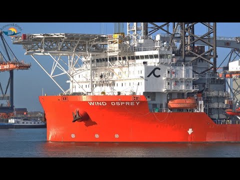 LARGE OFFSHORE SUPPLY SHIP "WIND OSPREY" arrives at ROTTERDAM PORT - SHIPSPOTTING MAY 2022