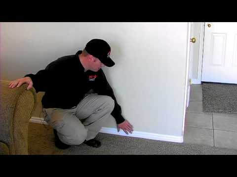 Termite Control : Signs That a Home Has Termites