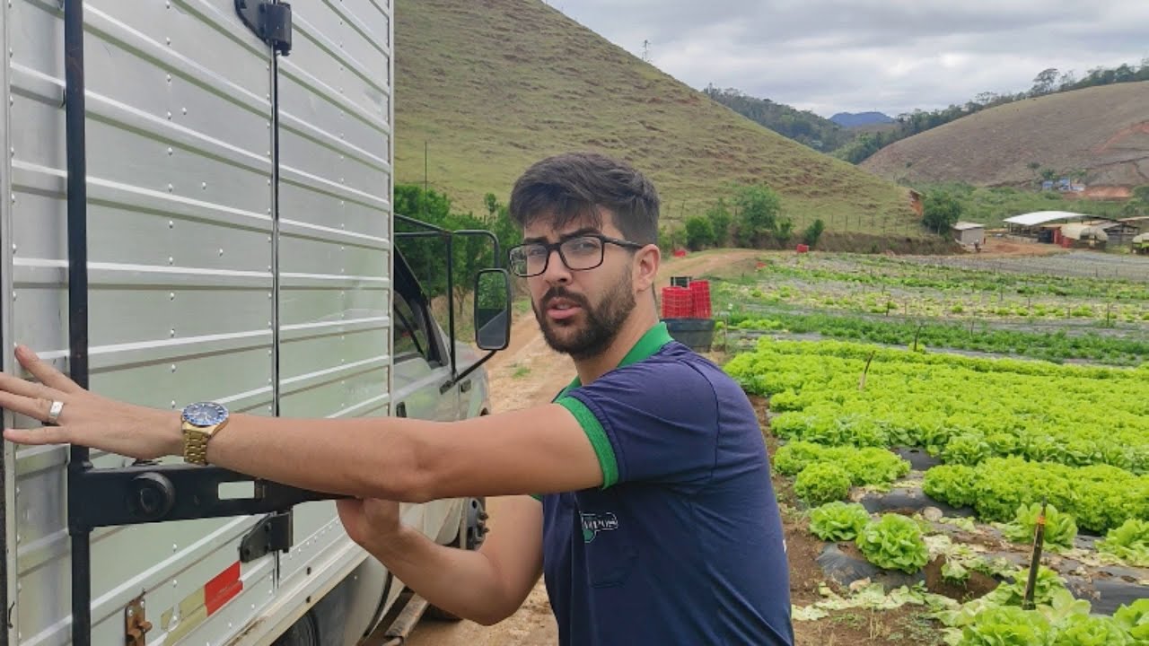 MOSTRANDO PRA VOCÊS COMO FAZEMOS A COLETA DE VERDURAS NOS SÍTIOS DOS  AGRICULTORES.