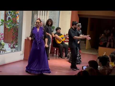 A short clip of Flamenco at Casa de la Memoria, Sevilla, Spain
