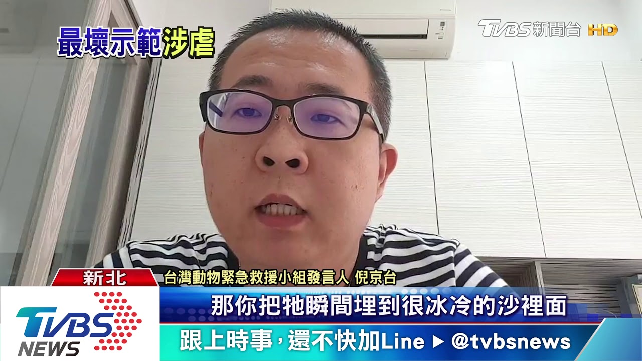誇張!祖孫沙灘埋狗玩過頭 挨批最壞示範