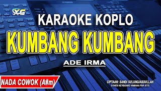 Download lagu KUMBANG KUMBANG DI TAMAN - Karaoke Koplo Nada Cowok (ADE IRMA) mp3
