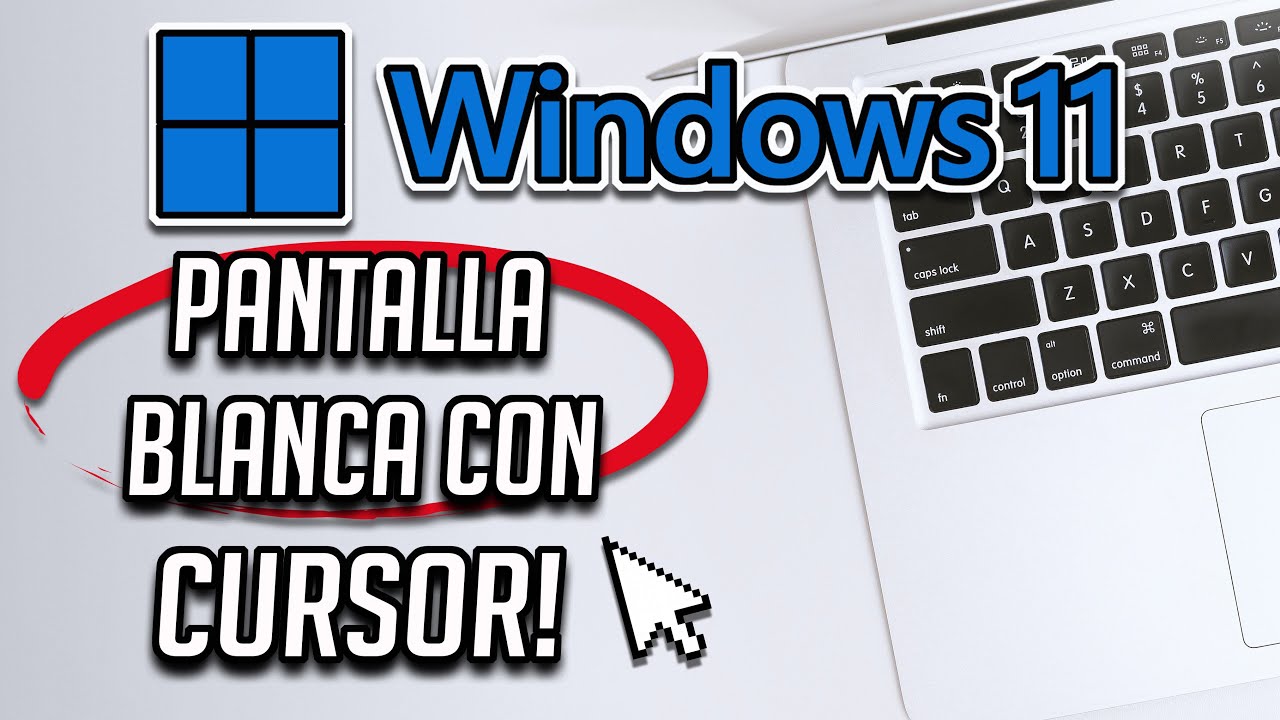 Como Reparar Pantalla Blanca Con Cursor. Solución Pantalla Blanca en Laptop Windows 11  [Tutorial]