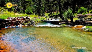 Başpınar Tabiat Parkı Ekosistemi İsparta Belgesel 4K