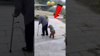 "Les moments les plus drôles de la vie animale que vous verrez aujourd'hui - essayez de ne pas rire !