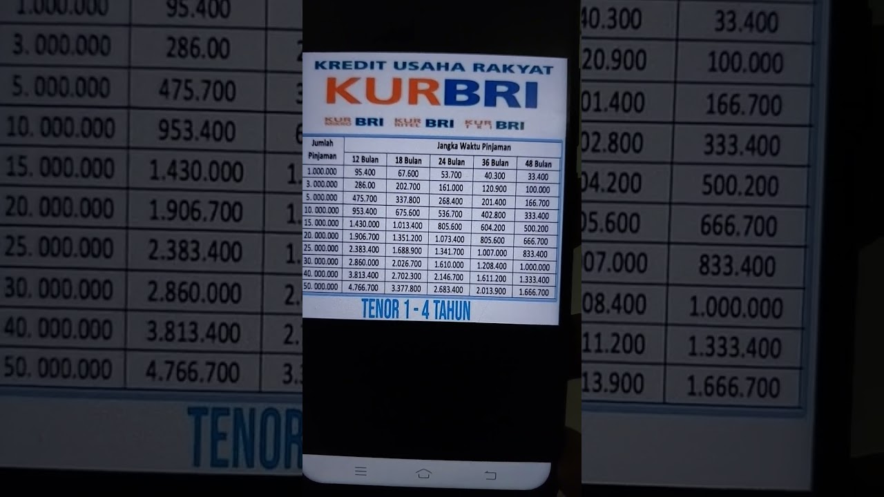 Brosur pinjaman BRI 2024 #pinjamanonline #bankbri #shorts