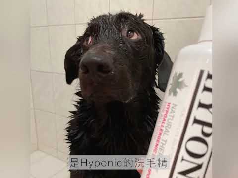 八樓不住八樓