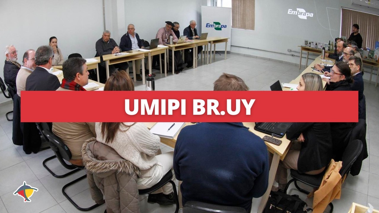 Embrapa Clima Temperado sedia primeira reunião presencial da UMIPI BR.UY | Terra Sul