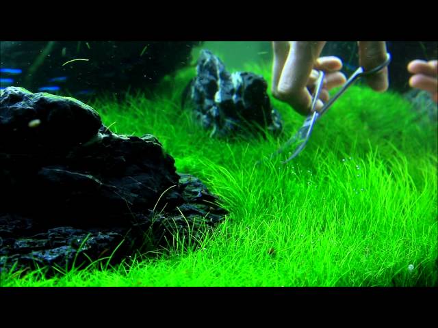 Just Aquascaping - Flowgrow Aquascaping Tools - Preview