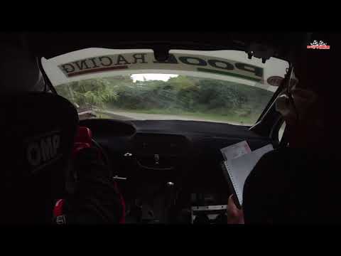 Rally di Casciana Terme 2019  Amadei - Dini  Peugeot 208 R2/B