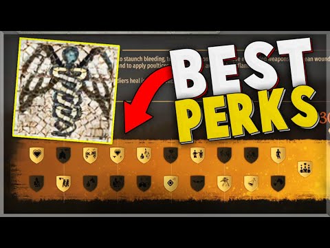 BEST MEDICINE PERK PICKS in Bannerlord ! (FULL GUIDE)