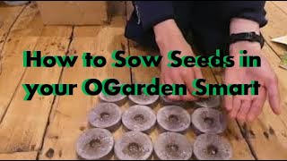How to Sow Seeds in an OGarden Smart