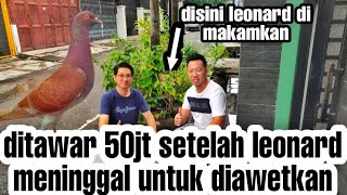 Download lagu Leonard's legendary racing pigeon was offered 50 million after his death mp3