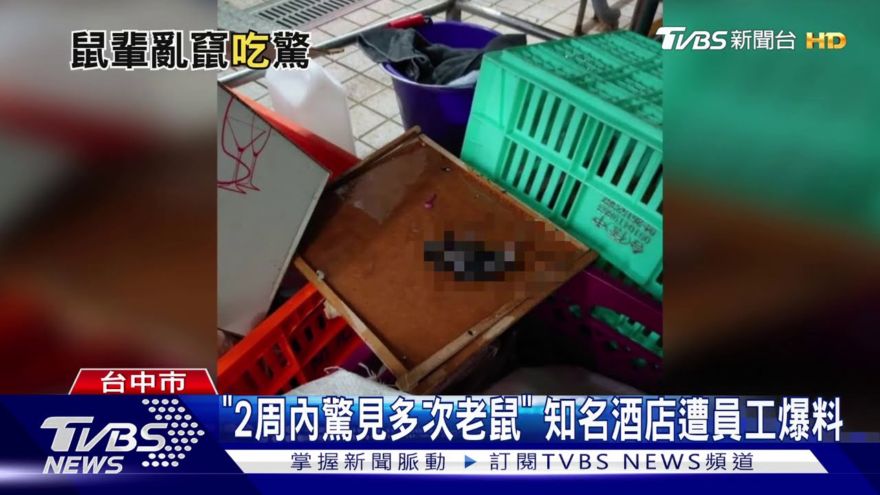 「2周內驚見多次老鼠」　知名酒店遭員工爆料