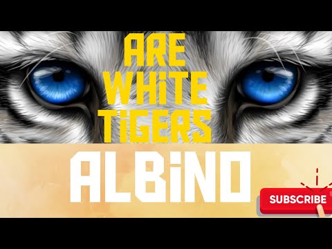 Albinism - The complete biochemistry