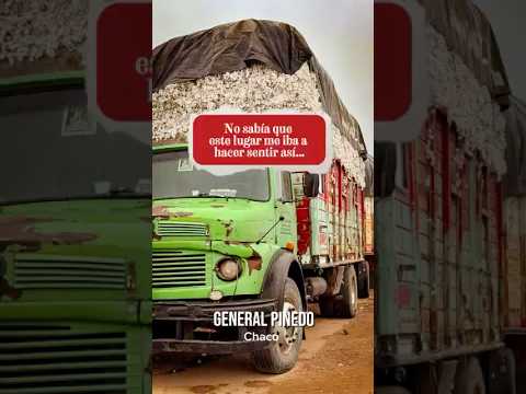 800 km por una respuesta: General Pinedo #shorts #ytshorts #viajes #generalpinedo #chaco  #parati