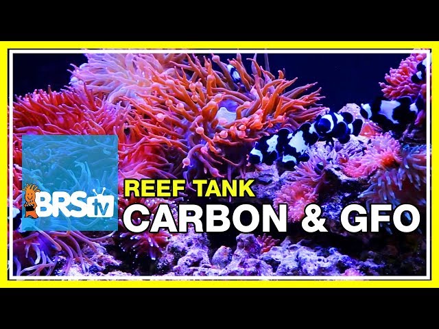 reef chemistry calculator reef chemistry calculator