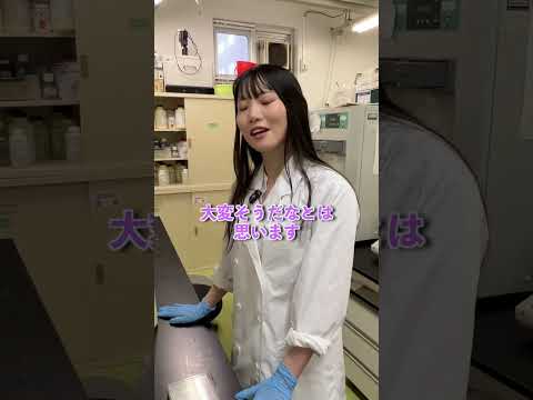 【バイトで失敗しないために知っておきたいこと】伊藤さんにバイト事情を聞いてみました✨家具屋さんでバイトしていて良かったことも教えてくれました！#shorts #大学生 #あるある #大学生の1日