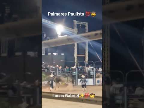 #montaria em Touro #Palmares paulista