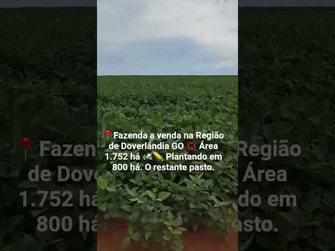 📍Fazenda na Região de Doverlândia GO 💢 Área 1.752 há 🚜🌽 Plantando em 800 há. O restante pasto #soja