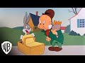 Looney Tunes Platinum Collection Volume 1 Hare Tonic Warner Bros Entertainment