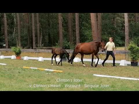 Clinton's Joter v  Clinton's Heart