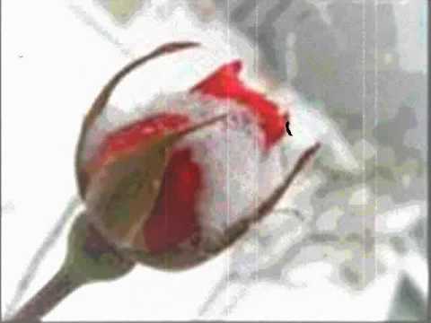 ArabeskRap YıLmAz&AhU SONNEFESİM SEVMESENDE DEMO