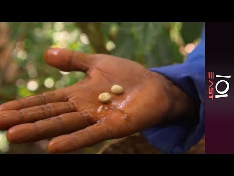 Where The Wild Coffee Grows