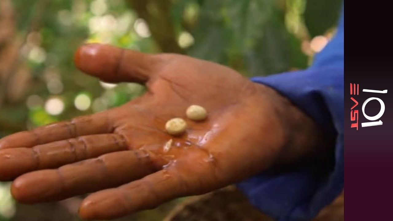 Where The Wild Coffee Grows