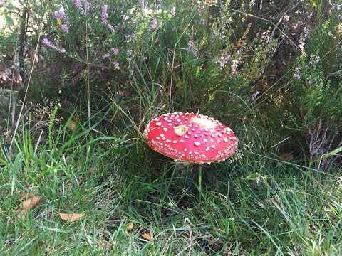 T-129 ''Hard House Saturdays'' 05:03:22 Vinyl Mix