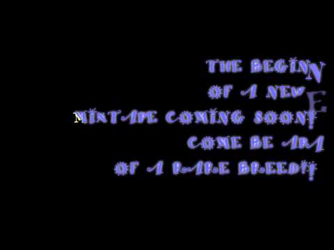 BGE AND STOKES BOYS ENT  (SHAWTY WILD)