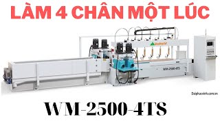 Máy Tubi CNC 4 trục có chà nhám | WM-2500-4TS