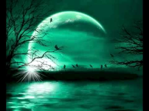 jerry ropero - nite and day