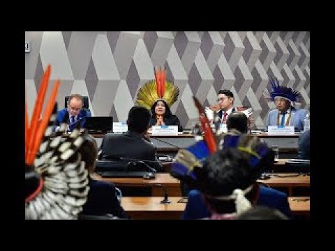 Sonia Guajajara nega irregularidades em reunião da CRA e da CDH