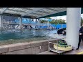 Trua Stage Slide With Vocals October 9 2021 SeaWorld Orlando Killer Whale Up Close Tour