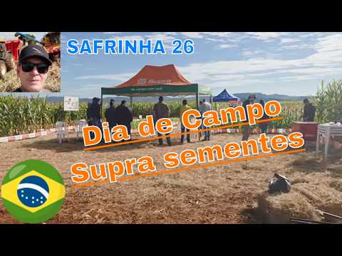 Milho Safrinha 26, dia de campo Supra e Agro Infinity na região norte do Paraná. Novo K9575
