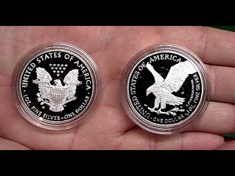 2021 Silver Eagle Type 2 and 1 Comparison side by side