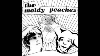 The Moldy Peaches - What Went Wrong