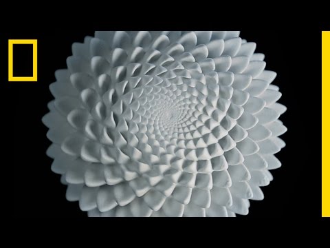 Get lost in these 3-D printed strobe light sculptures