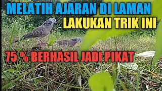Download lagu TRIK MELATIH AJARAN TEKUKUR AGAR TIDAK GAGAL JADI PIKAT mp3 Download lagu TRIK MELATIH AJARAN TEKUKUR AGAR TIDAK GAGAL JADI PIKAT mp3