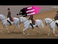 Spanish Riding School Grand Finale White Lippizaner Stallions