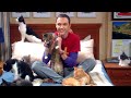 1 Hour Of Sheldon For When You Need Background Noise